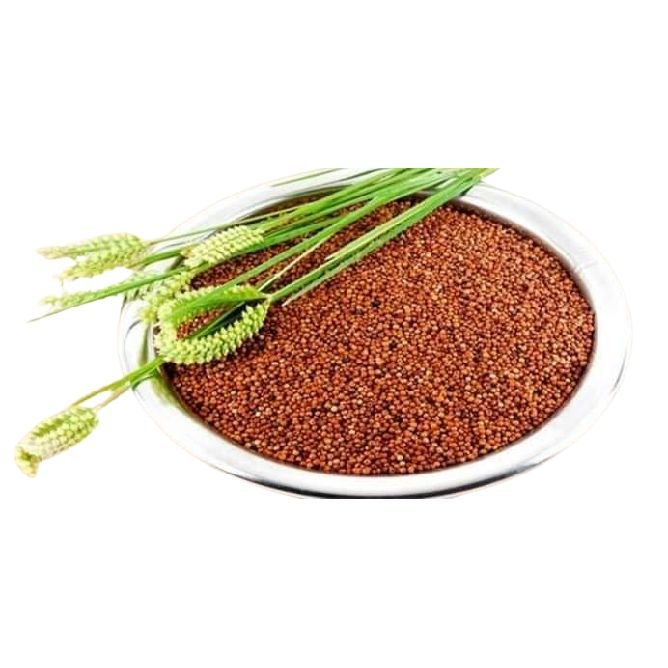 Govi Lanka in Sri lanka